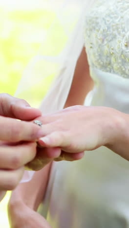 Novia-Y-Novio-Intercambiando-Anillos-De-Boda