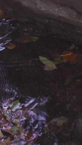 Water-flowing-in-a-little-stream