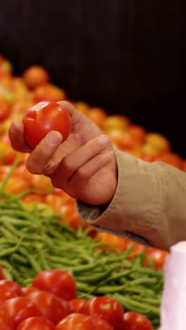 Hombre-Seleccionando-Tomates-En-La-Sección-Orgánica