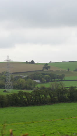 Panoramic-shot-of-calm-green-fields