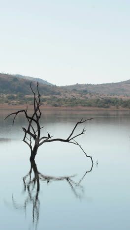 Escena-De-La-Naturaleza-En-Sudáfrica