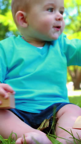 Adorable-baby-boy-playing-with-building-blocks-on-the-grass