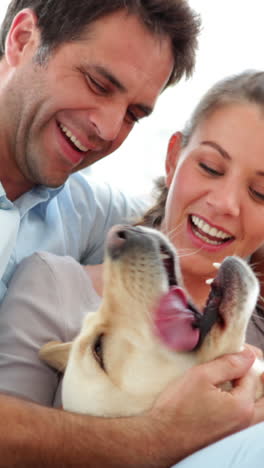 Linda-Pareja-Acariciando-A-Su-Perro-Labrador-En-El-Sofá