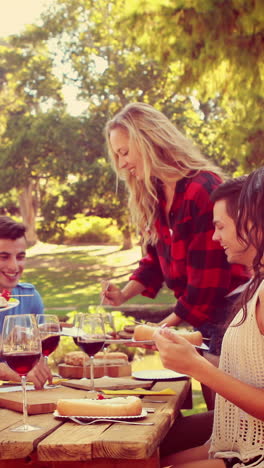 Amigos-Felices-En-El-Parque-Almorzando