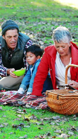 Family-having-picnic-in-the-park