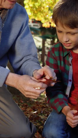 grandfather-and-grandson-playing-with-leaves