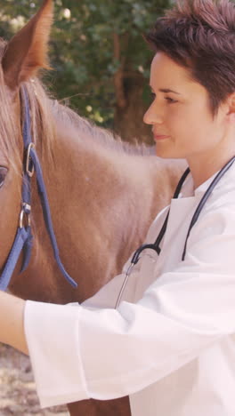 Vet-taking-care-of-a-horse