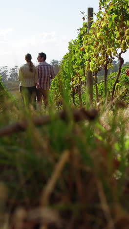 Rear-view-of-couple-holding-hands-and-walking-in-field