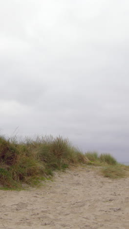 Tranquil-deserted-beach-scene