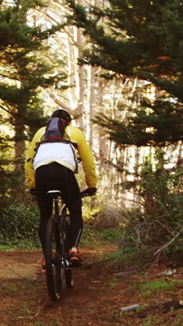 Ciclista-De-Montaña-Masculino-Montando-En-El-Bosque