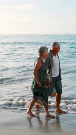 Retired-old-couple-holding-picnic-bag