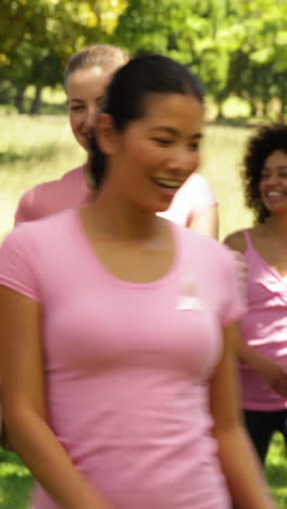 Mujeres-Felices-Dando-Un-Paseo-Para-Concientizar-Sobre-El-Cáncer-De-Mama-En-El-Parque