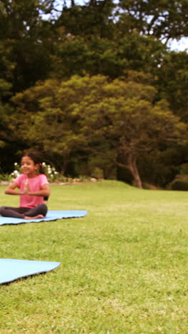 Gruppe-Von-Kindern,-Die-Yoga-Im-Park-Durchführen