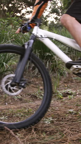 Ciclista-De-Montaña-Masculino-Montando-En-El-Bosque