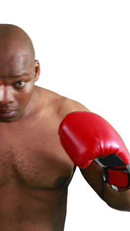 Serious-muscular-boxer-with-gloves-posing