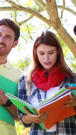 Gruppe-Von-College-Freunden,-Die-Die-Notizen-Besprechen