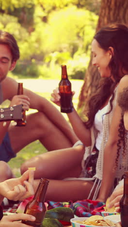 Amigos-Felices-En-El-Parque-Haciendo-Picnic