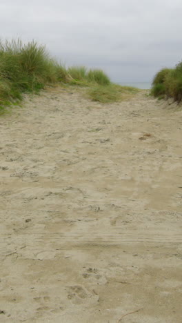 Tranquil-isolated-sand-dunes