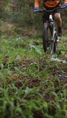 Male-mountain-biker-riding-in-the-forest