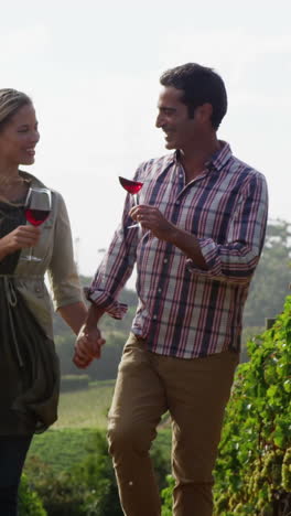 Glückliches-Paar,-Das-Beim-Spaziergang-Im-Feld-Ein-Glas-Rotwein-Anstößt