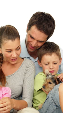 Süße-Familie-Mit-Einem-Kleinen-Grauen-Kätzchen-Und-Einem-Yorkshire-Terrier-Welpen