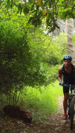 Hombre-En-Bicicleta-Por-Un-Bosque