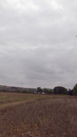 Tranquil-farm-field