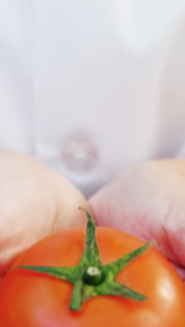 Científica-Femenina-Sosteniendo-Tomate