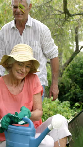 Glückliches-Paar,-Das-Zusammen-Im-Garten-Arbeitet