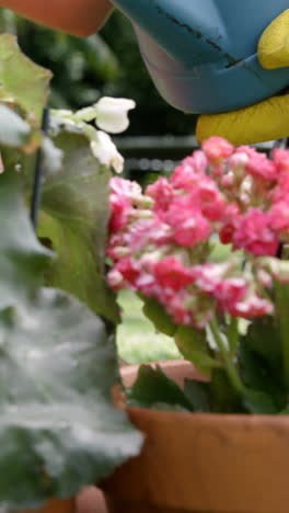 Close-up-of-mother-and-daughter-watering-flower-pots