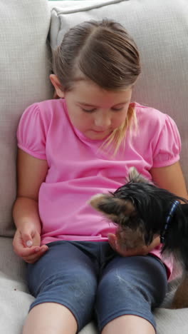 Cute-little-girl-playing-with-yorkshire-terrier-puppy