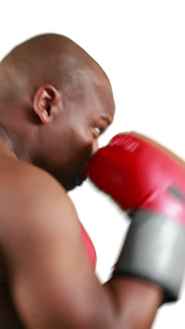 Serious-muscular-boxer-with-gloves-practising