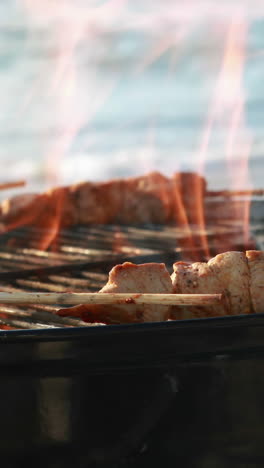 Primer-Plano-De-Barbacoa-En-La-Playa