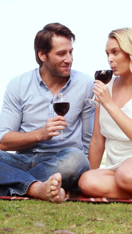 Happy-couple-toasting-and-drinking-red-wine