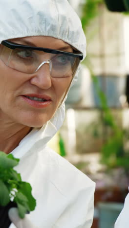 Female-scientists-having-discussion-on-plant