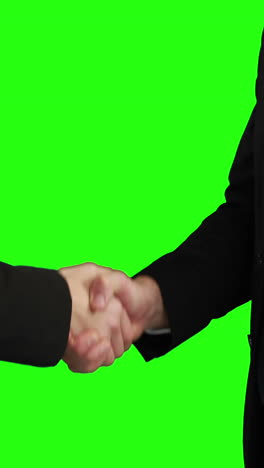 Business-people-handshaking