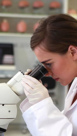 Estudiante-De-Medicina-Mirando-Por-El-Microscopio