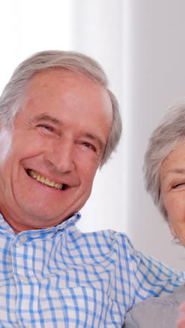 Senior-couple-holding-american-flag