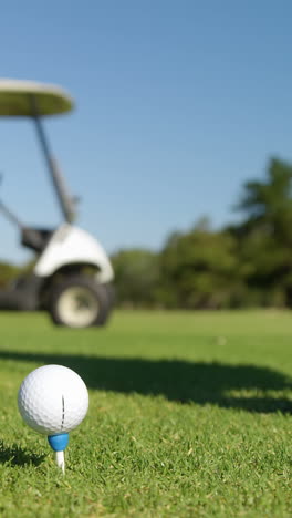 Golfer-Legt-Golfball-Auf-Abschlag