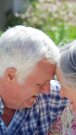 Feliz-Pareja-De-Ancianos-Cara-A-Cara