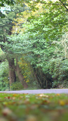 Coche-Conduciendo-Por-Una-Carretera-Rodeada-De-Bosque.