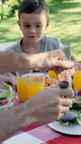 Glückliche-Familie-Isst-Zusammen-Im-Garten