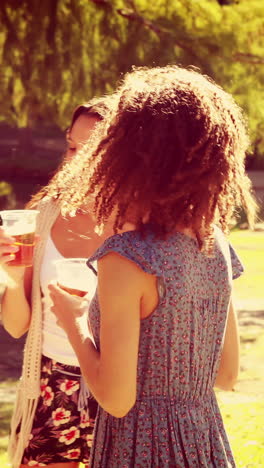 Glückliche-Freunde-Im-Park-Trinken-Bier