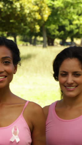 Diversas-Mujeres-Felices-Vestidas-De-Rosa-Para-Concientizar-Sobre-El-Cáncer-De-Mama-En-El-Parque