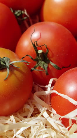 Primer-Plano-De-Tomates-Rojos