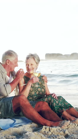 Retired-old-couple-drinking-white-wine