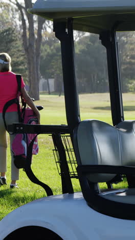 Dos-Golfistas-Caminando-Juntos-Con-Una-Bolsa-De-Golf