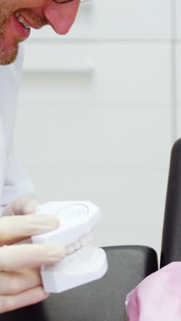 Dentist-showing-model-teeth-to-patient