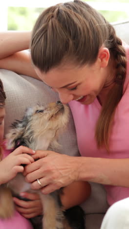 Süßes-Kleines-Mädchen-Mit-Mutter,-Die-Mit-Yorkshire-Terrier-Welpen-Spielt