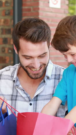 Vater-Und-Sohn-Schauen-In-Einkaufstasche